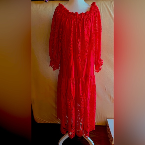 Delfi Collective embroidered off shoulder midi dress - Picture 1 of 5